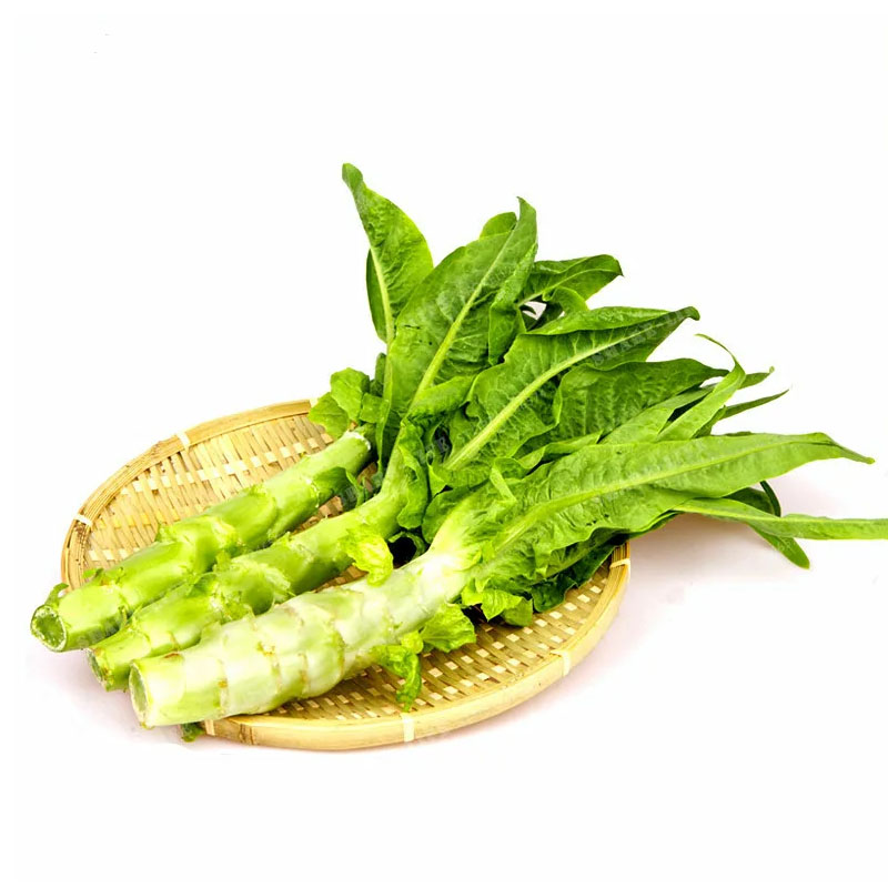 莴笋